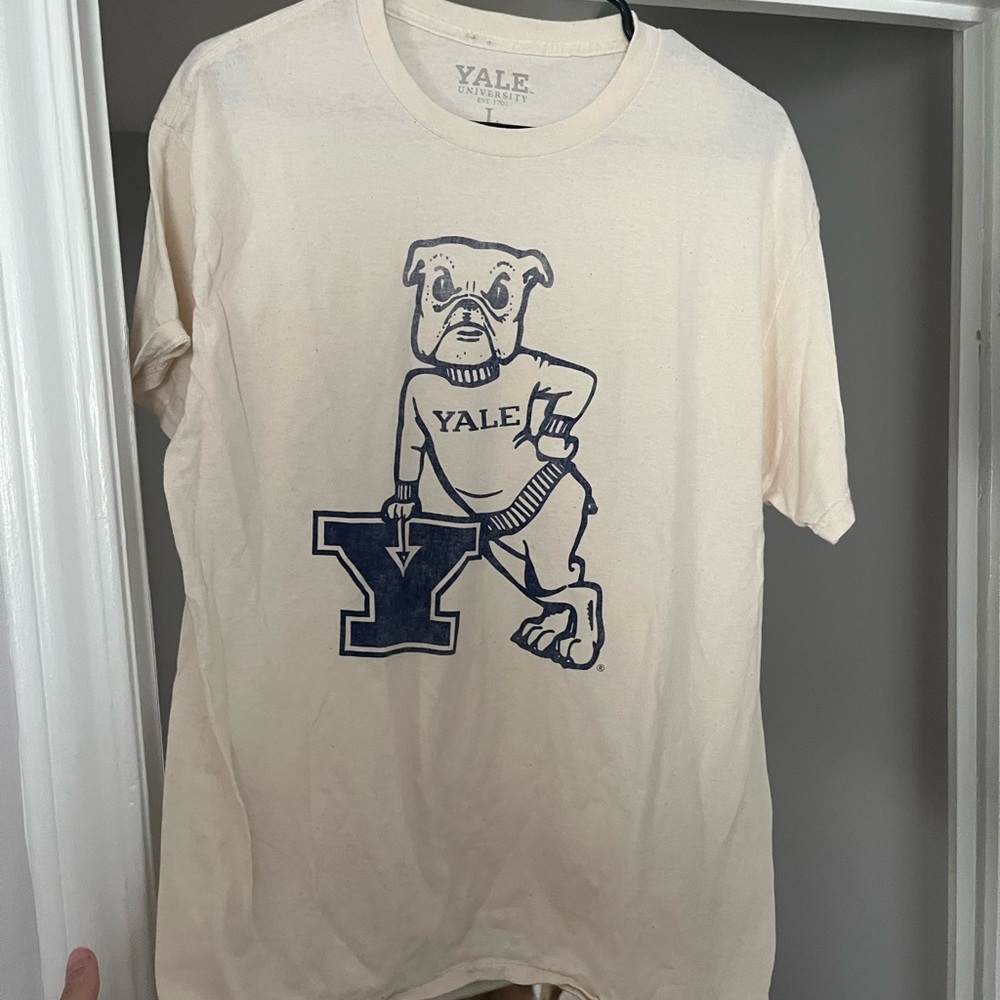 American Eagle Outfitters Cream Tee with Blue Graphic